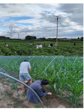 李宇轩-材料1.志愿活动实践中的一张照片